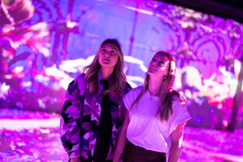 Eindhoven: Motion Experience Light Art Playground Ticket - Key Points