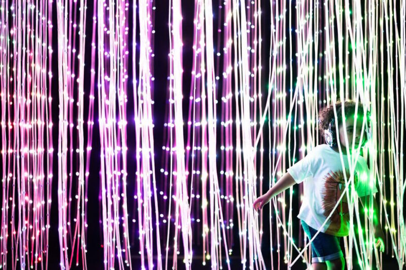 Eindhoven: Motion Experience Light Art Playground Ticket - Who Will Enjoy This?