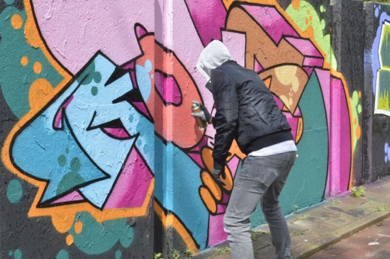 Eindhoven: Self-Guided Individual Street Art Tour - Highlights of the Tour