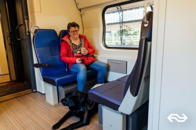 Eindhoven: Train Transfer Eindhoven From/To Rotterdam - Customer Experiences