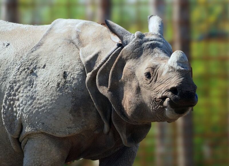 Eindhoven Zoo Entry Ticket - Cancellation Policy Details