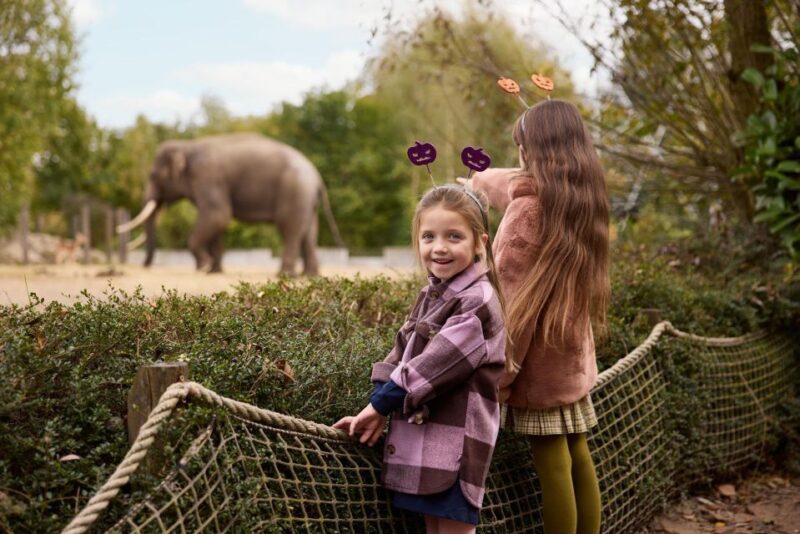 Eindhoven Zoo Entry Ticket - Transportation Options