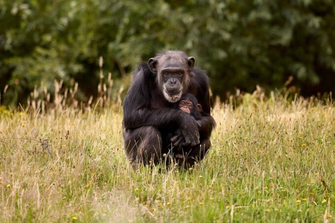 Eindhoven Zoo Entry Ticket - Visitor Reviews and Ratings