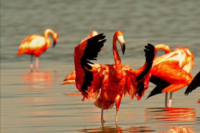 Ek Balam and Pink Paradise Ruins to Rainbow Lakes - A Deep Dive into the Day