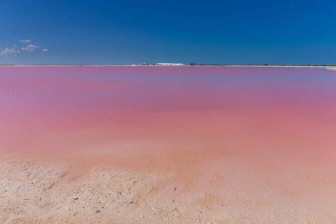 Ek Balam, Pink Lakes, Cenote & Tequila Factory Semi-Private Tour - Frequently Asked Questions