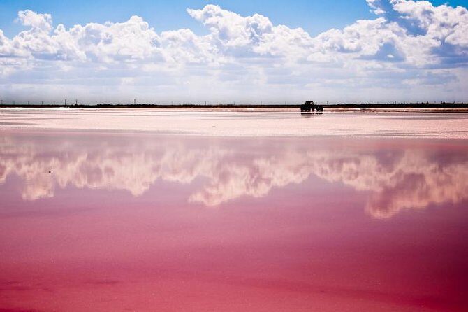Ek Balam, Rio Lagartos and Las Coloradas Private Tour from Cancun - A Closer Look at the Itinerary and Experience