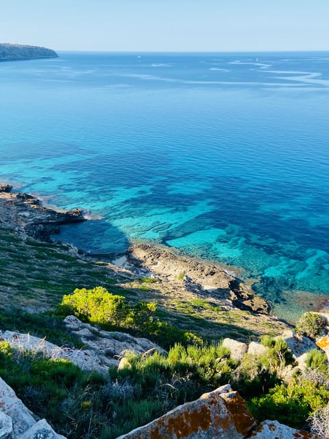 El Arenal: Private Mallorca Boat Rental (No License Needed) - Included and Not Included in the Rental
