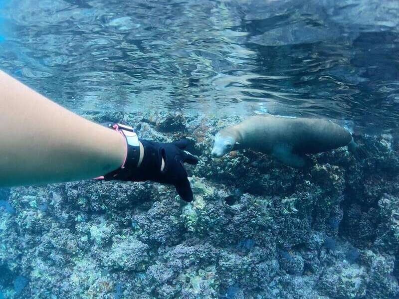 El Cabo: Incredible Private Tour to Espiritu Santo - What Really Sets It Apart? The Value