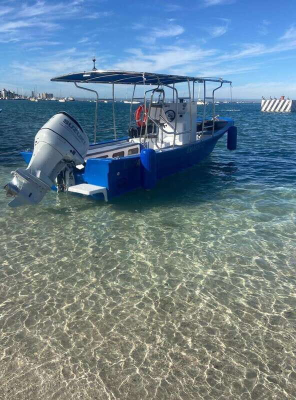 El Cabo: Incredible Private Tour to Espiritu Santo - Final Thoughts