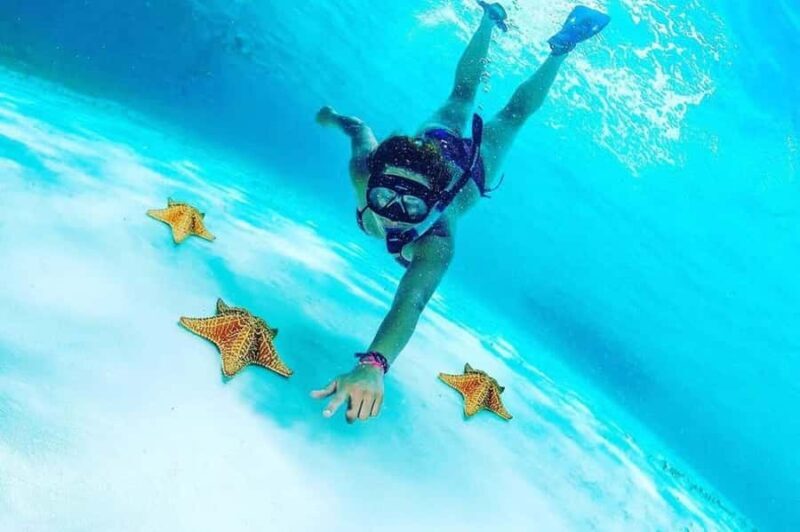 El Cielo and El Cielito Catamaran Tour with Slide and Open Bar - Key Points