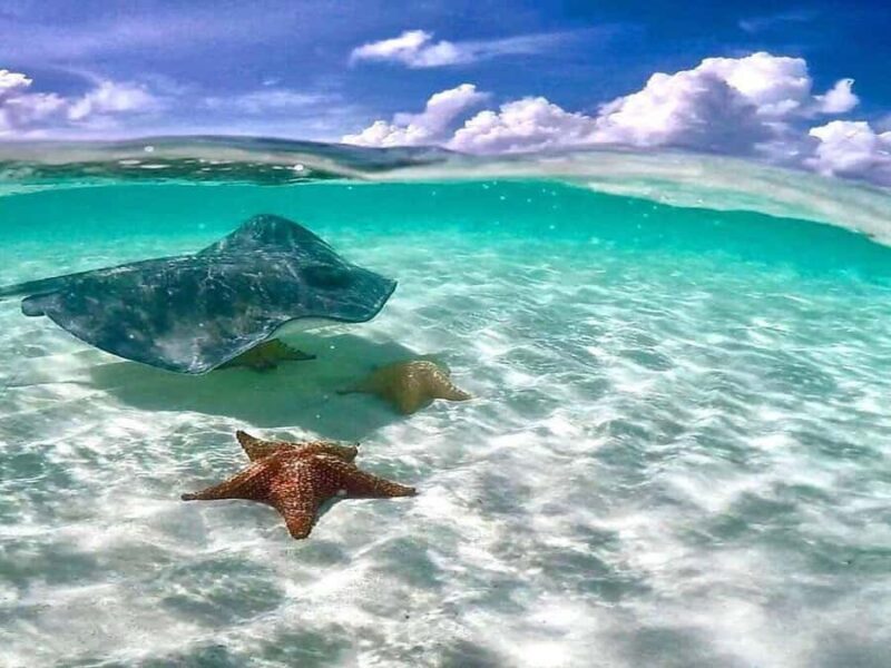 El Cielo and El Cielito Catamaran Tour with Slide and Open Bar - Final Thoughts: Is It Worth It?