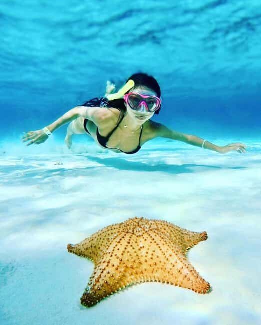 El Cielo and El Cielito in Cozumel with Beach Club, Food, and Open Bar - Key Points