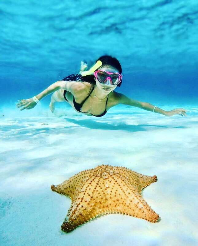 El Cielo and El Cielito in Cozumel with Beach Club, Food, and Open Bar - Who This Tour Is Best For