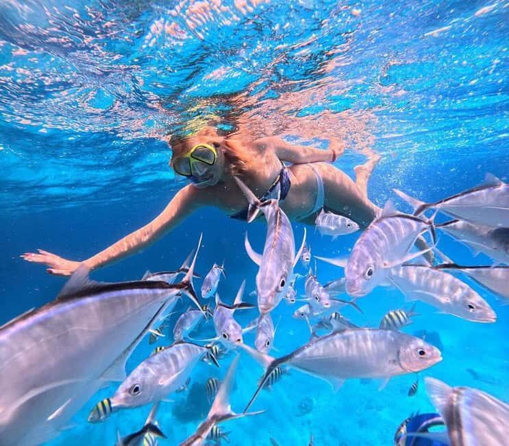 El Cielo and El Cielito in Cozumel with Beach Club, Food, and Open Bar - Final Thoughts