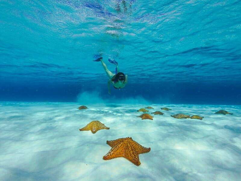 El Cielo and El Cielito in Cozumel with Beach Club, Food, and Open Bar - FAQs