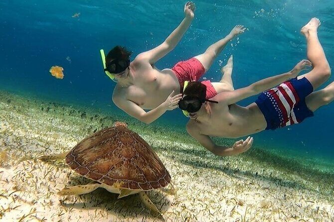 El Cielo Beach Snorkeling Adventure by Catamaran - Key Points