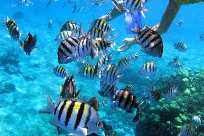 El Cielo Cozumel - A Detailed Look at the Tour Experience