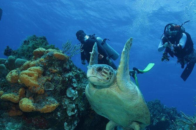 El Cielo Cozumel - Practical Considerations