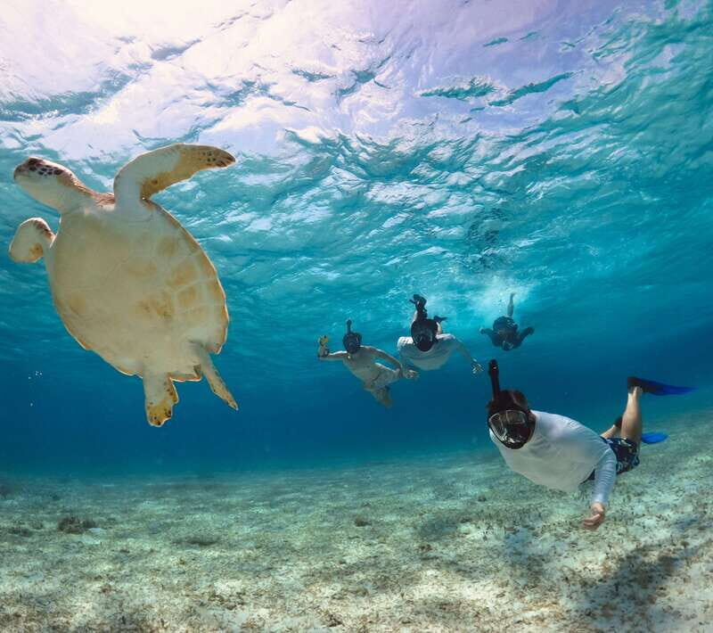 El Cielo Cozumel private snorkel tour - Why Choose the El Cielo Cozumel Private Snorkel Tour?