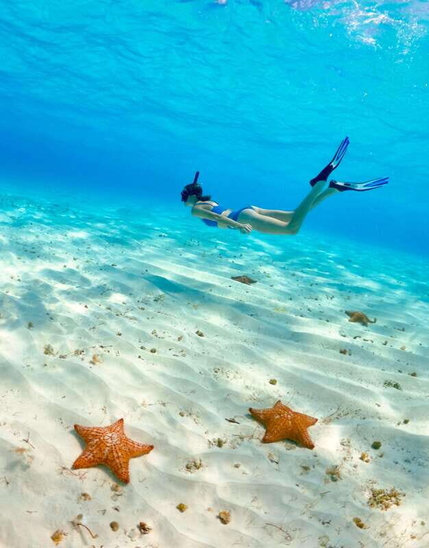 El Cielo Cozumel private snorkel tour - What Sets This Tour Apart?