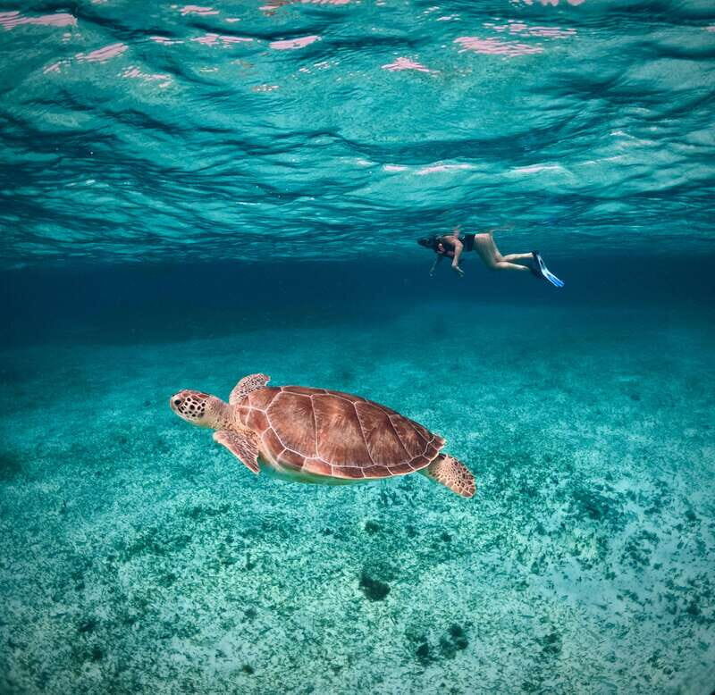 El Cielo Cozumel private snorkel tour - The Value for Your Money