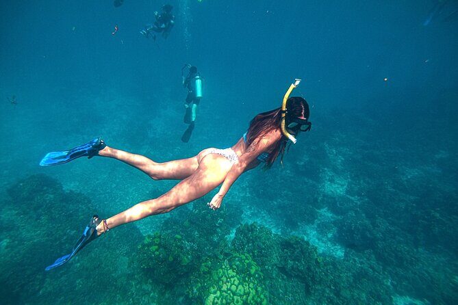 El Cielo Cozumel Snorkel Private Boat + Food + Drinks + Beach - Why This Tour Offers Great Value