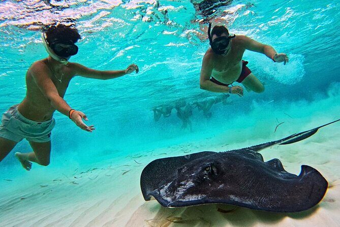 El Cielo Cozumel Snorkel Private Tour Big Group + Food Drinks - What Makes This Tour Stand Out?