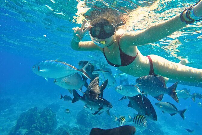 El Cielo Cozumel Snorkel Share Boat + Reefs + Food Drinks + Beach - Who Should Consider This Tour?