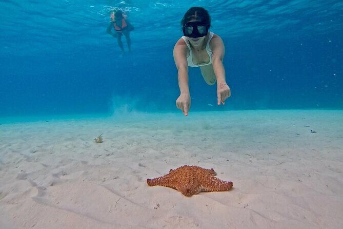 El Cielo Snorkeling Tour and The Top Reefs of Cozumel - Starting Point and First Impressions