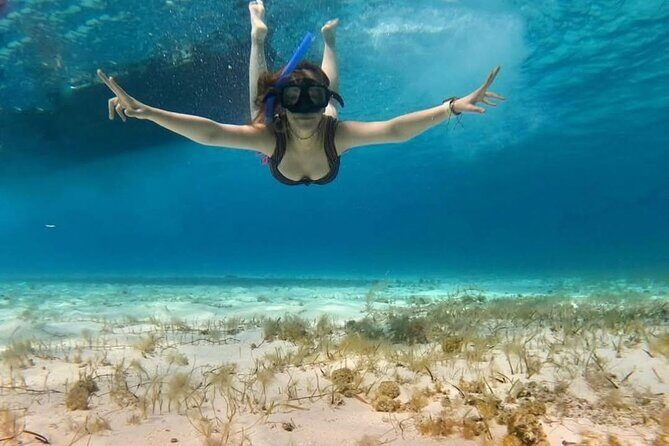 El Cielo Snorkeling Tour and The Top Reefs of Cozumel - El Cielo: Starfish and Sandbanks