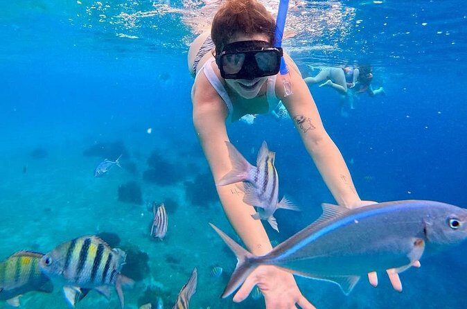 El Cielo Snorkeling Tour and The Top Reefs of Cozumel - Additional Details and Practicalities