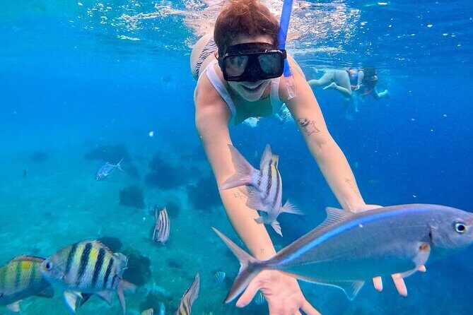 El Cielo Snorkeling Tour and The Top Reefs of Cozumel - Cost-Effectiveness and Value