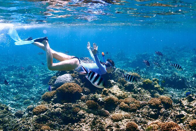 El Cielo the Breathtaking Snorkel Tour of Cozumel Cielito Beach & Lunch Included - Authentic Experiences and Authenticity