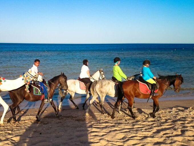 El Gouna: Desert & Sea Horse Riding With Swimming Optional - Tips for a Great Experience