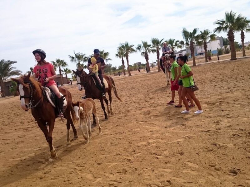 El Gouna: Desert & Sea Horse Riding With Swimming Optional - Pricing and Booking Options