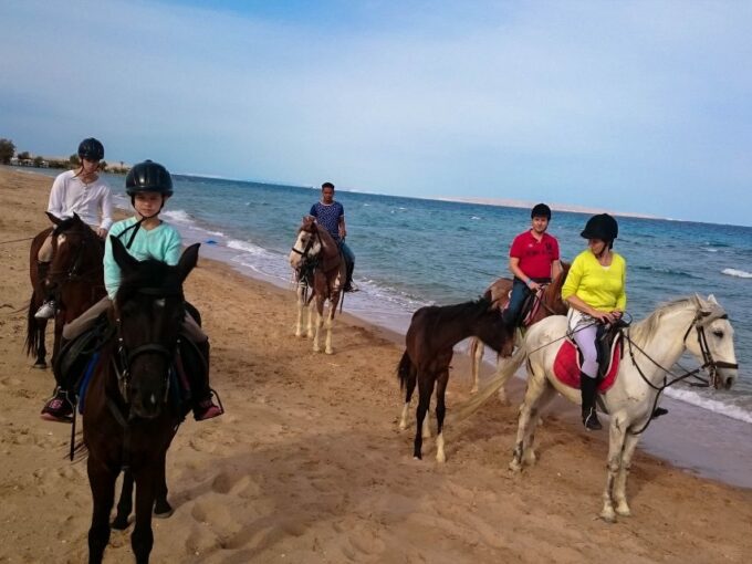 El Gouna: Desert & Sea Horse Riding With Swimming Optional - Tips for an Enjoyable Ride