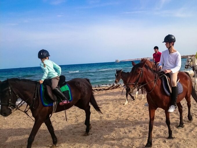El Gouna: Desert & Sea Horse Riding With Swimming Optional - Frequently Asked Questions