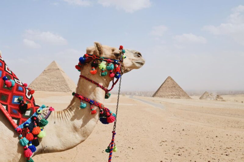 El Gouna: Private Giza, Sakkara, Memphis & Khan El-Khalili - Good To Know