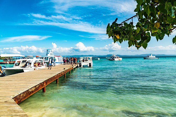 El Limon Waterfall and Bacardi Island Tour from Punta Cana with Lunch Included - Practical Aspects: Transportation, Duration, and Cost