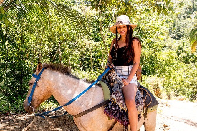 El Limon Waterfall and Bacardi Island Tour from Punta Cana with Lunch Included - Who Should Consider This Tour?