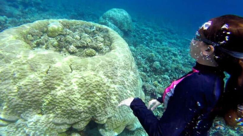 El Nido: Island Hopping Tour B Cudognong Cave & More - Authentic Experiences and Highlights
