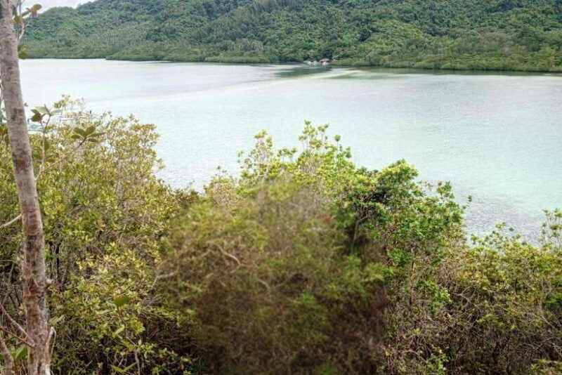 El Nido: Tour B with Snake Island, Cudugnon Cave, and More - Who Should Consider This Tour?