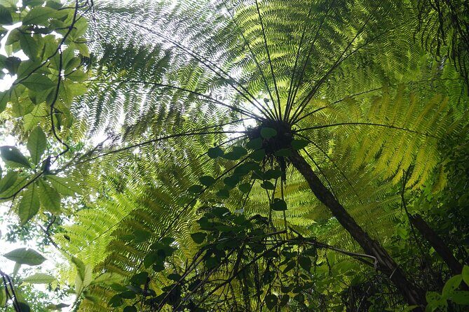El Nogalito Mountain River- Hiking Tour - Who Will Love This Tour?