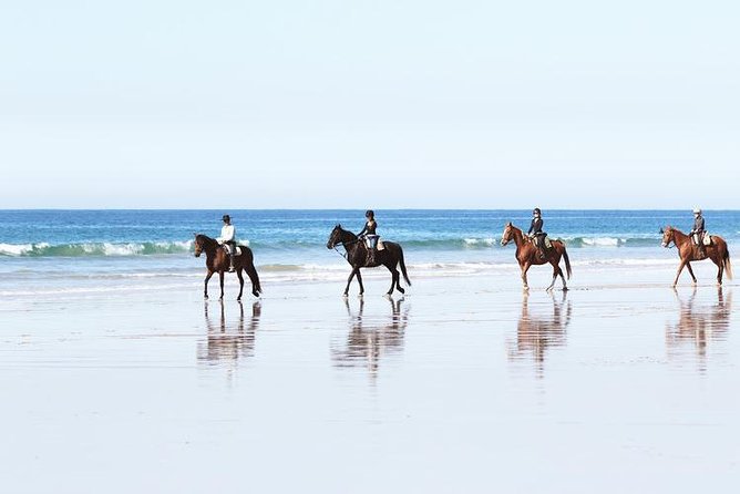 El Palmar Beach Horse Riding  - Andalucia - Good To Know