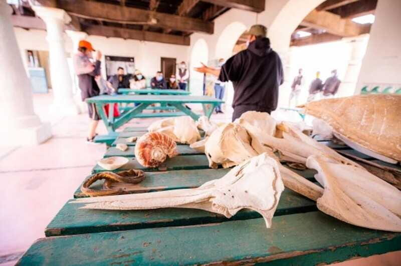 El Pinacate: 5-day tour to the craters and the Altar desert - Who Will Love This Tour?