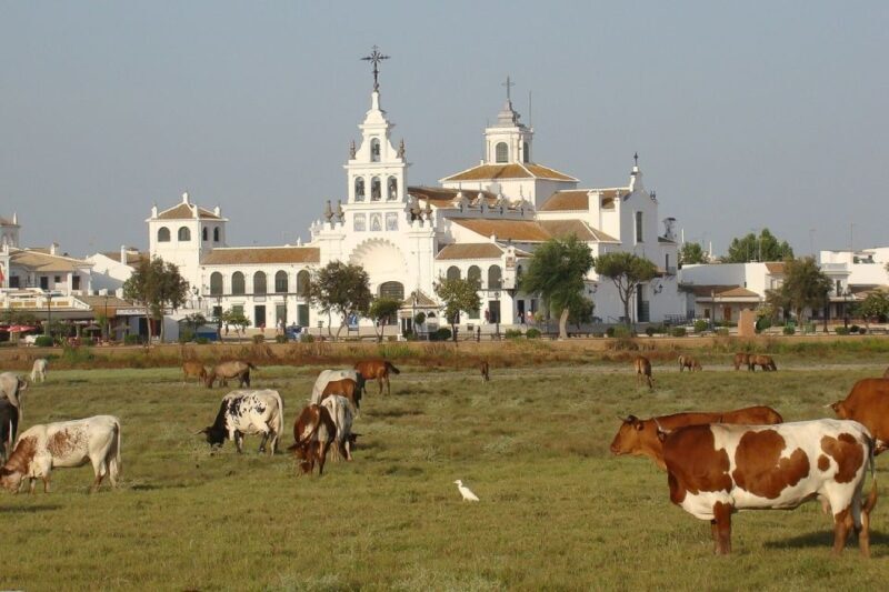 El Rocío: Doñana National Park 4x4 Guided Tour - The Practical Side: Logistics, Price, and Value