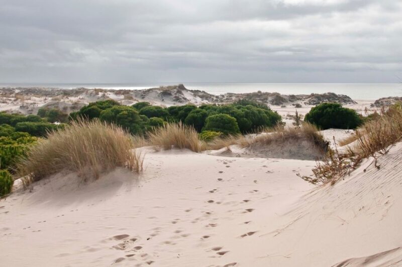 El Rocío: Doñana National Park 4x4 Guided Tour - FAQs