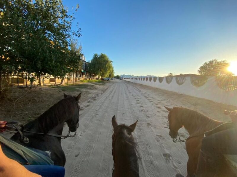 El Rocío: Doñana National Park Horseback Riding Tour - Important Considerations for the Tour