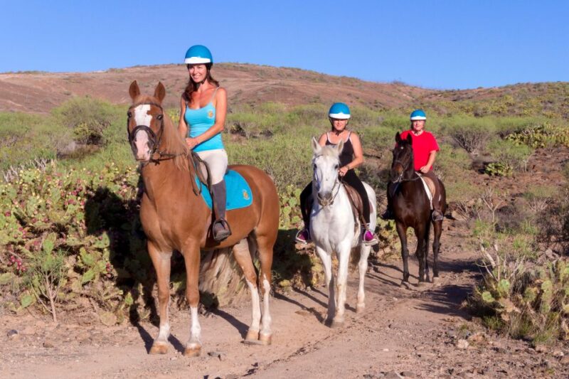 El Salobre: Horse Riding Adventure With Transfer Options - Key Points