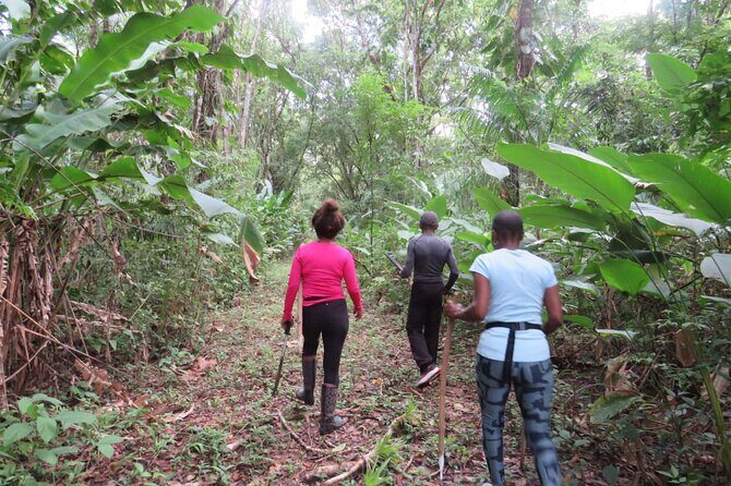 El Suzanne Estate Birding & Nature Reserve Tour - The Sum Up: Is It Worth It?